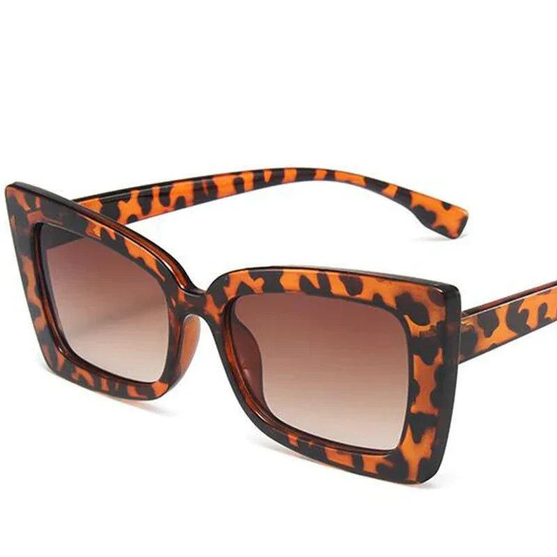 Classy frame - UrbanCycling.com