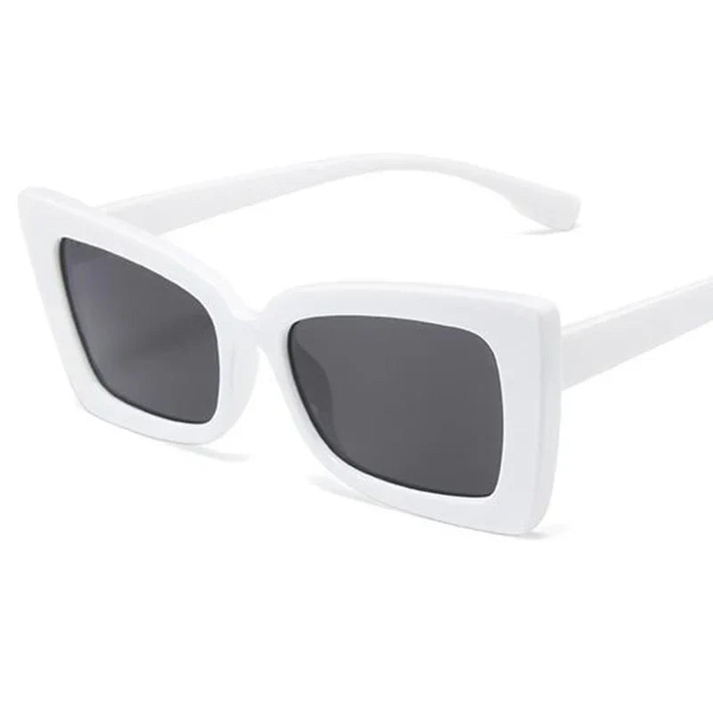 Classy frame - UrbanCycling.com