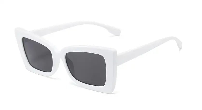 Classy frame - UrbanCycling.com