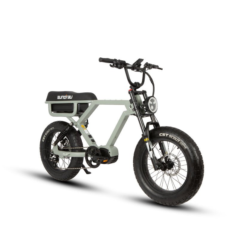 Epic Ebike Adventures Fremont Street Eunorau Flash 30 mph up to 220 mile range! - UrbanCycling.com