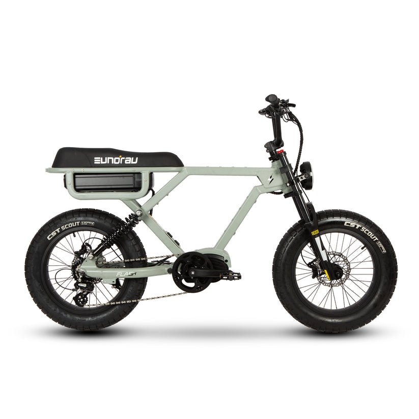 Epic Ebike Adventures Fremont Street Eunorau Flash 30 mph up to 220 mile range! - UrbanCycling.com