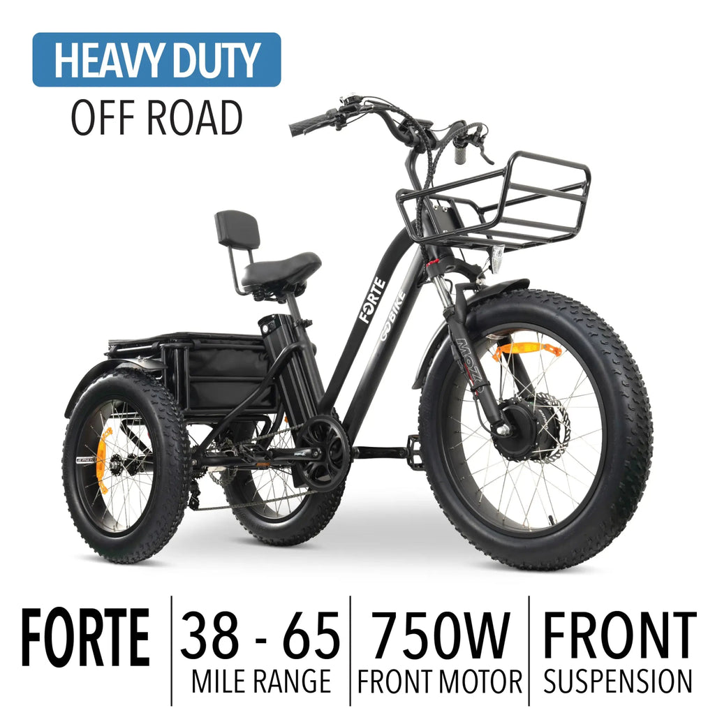 FORTE Electric Tricycle - UrbanCycling.com