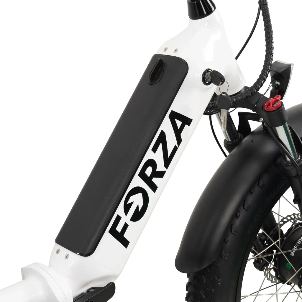 FORZA Electric Tricycle - UrbanCycling.com