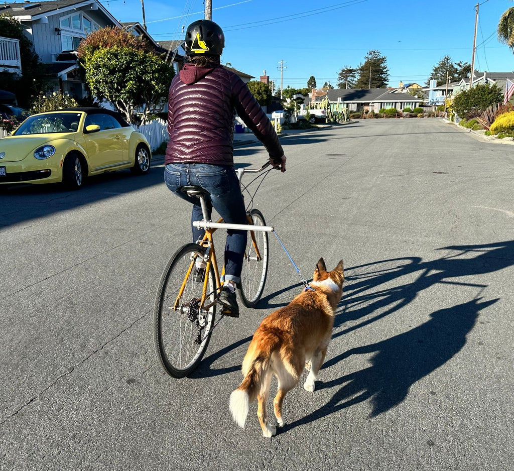 MBB Dog Runners - UrbanCycling.com