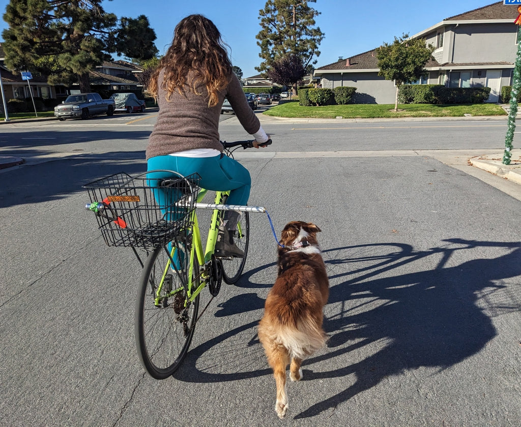 MBB Dog Runners - UrbanCycling.com