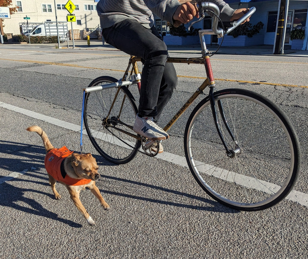 MBB Dog Runners - UrbanCycling.com