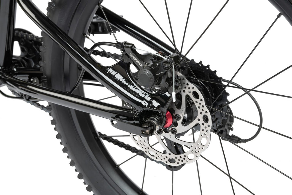 Radio 2021 Zuma 20" Complete Mountain Bike - Black - UrbanCycling.com