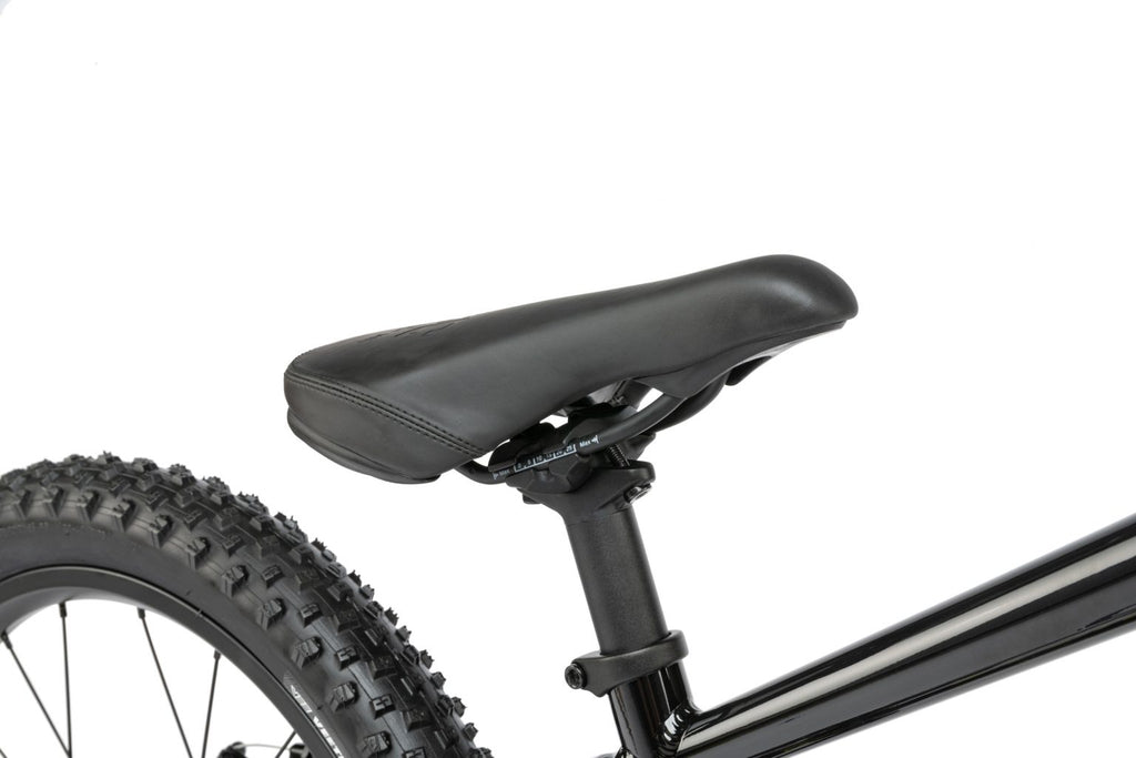 Radio 2021 Zuma 20" Complete Mountain Bike - Black - UrbanCycling.com