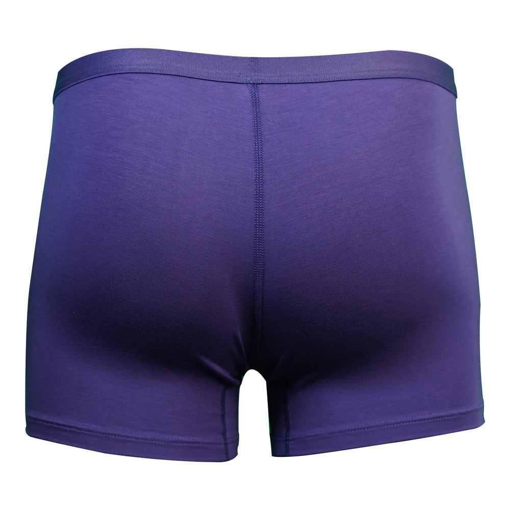 SHEATH Women's Bamboo Boxer Brief - UrbanCycling.com