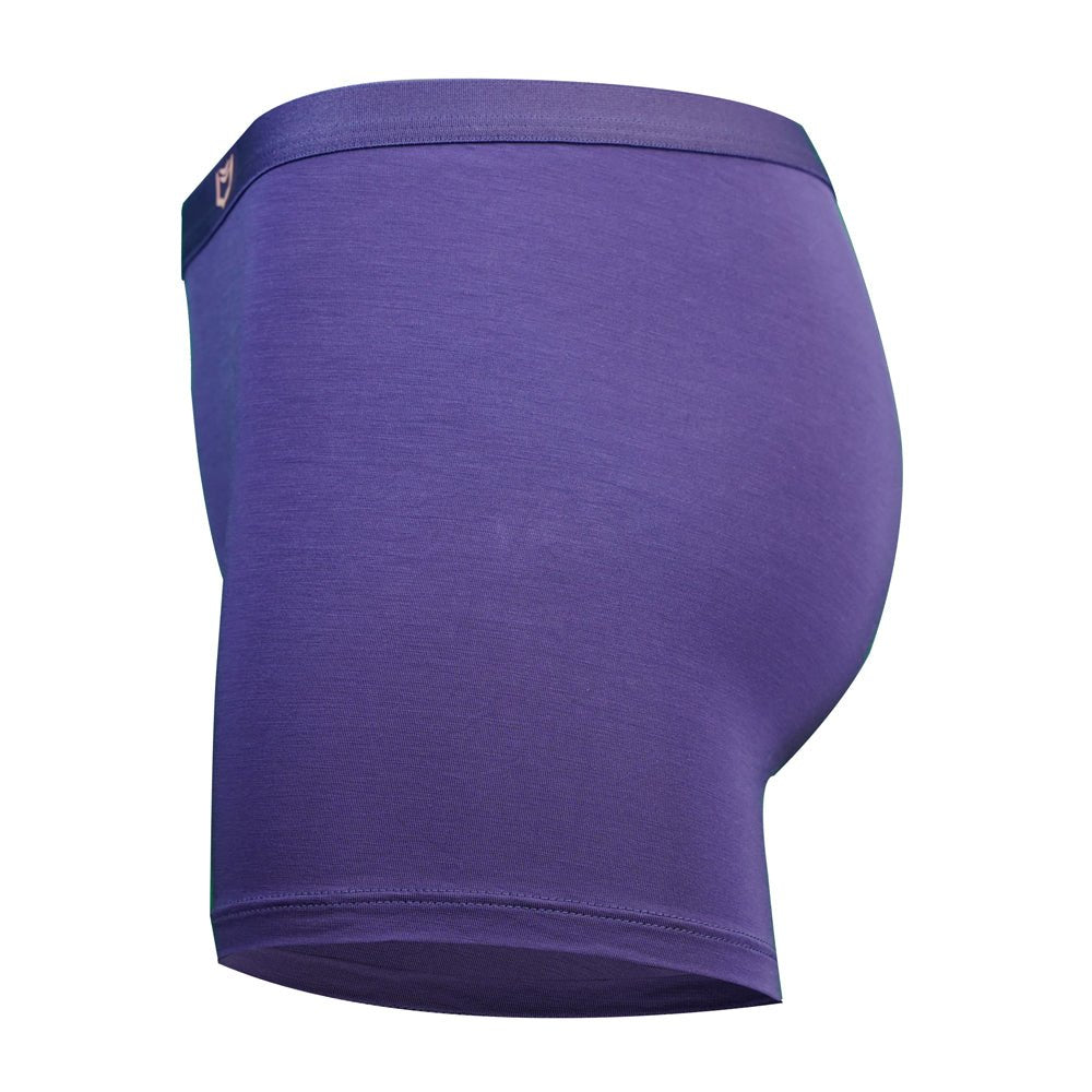 SHEATH Women's Bamboo Boxer Brief - UrbanCycling.com