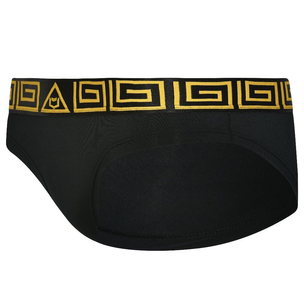 SHEATH Women's Bikini Briefs - UrbanCycling.com